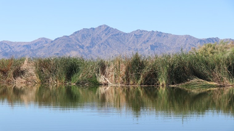 Phoenix Rallies Community for Salt River Clean-Up Effort with Rio Reimagined and Partners