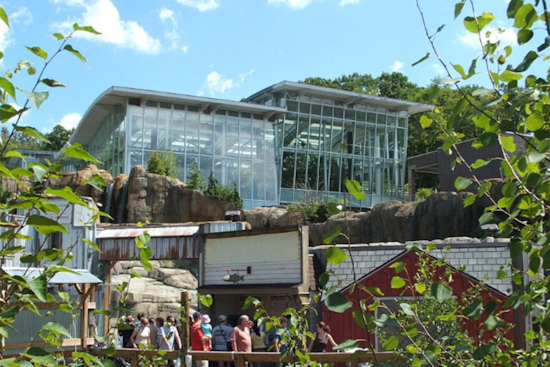 Pittsburgh Zoo Mourns the Passing of Beloved Gorilla Harry at Age 33