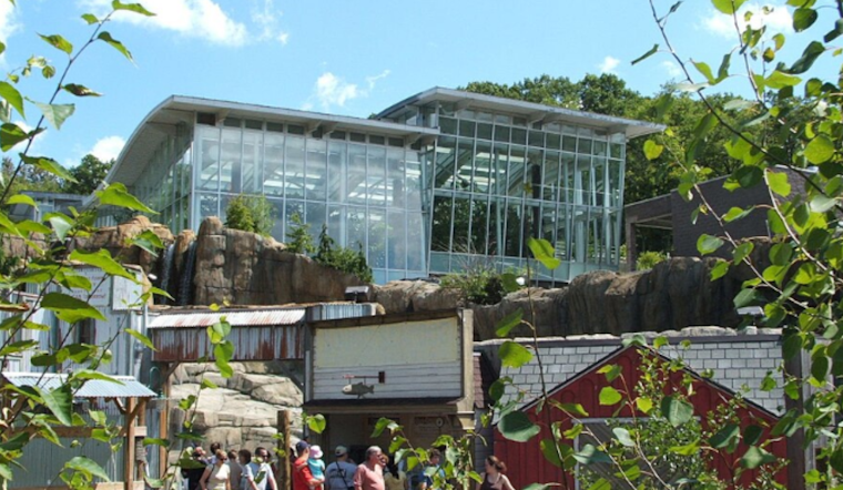Pittsburgh Zoo Mourns the Passing of Beloved Gorilla Harry at Age 33