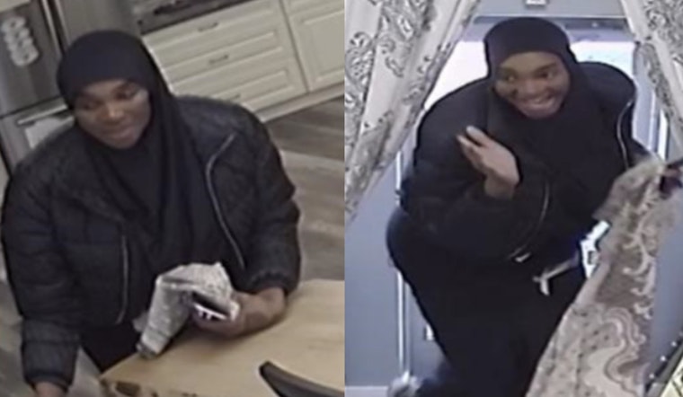 Plymouth Township Police Issue Felony Warrant for Suspect Zendaya Zoe in German Shepherd Puppy Theft