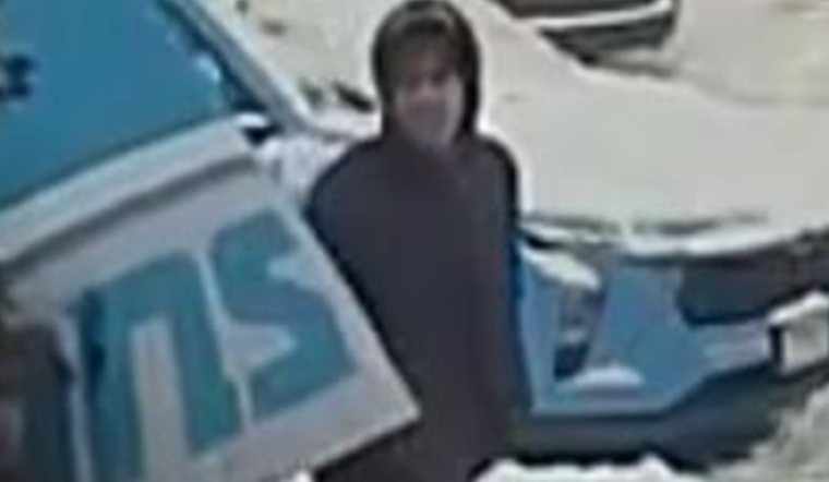Police Seek Public's Help to Find Suspect in Random Assault on Man Shoveling Snow in Detroit
