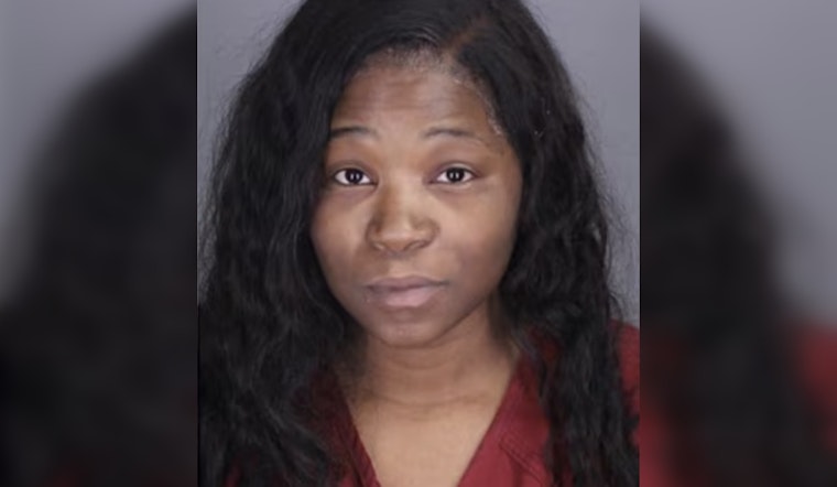 Pontiac Mother Suspended from Contacting Children's Caregiver After Defying No-Contact Order