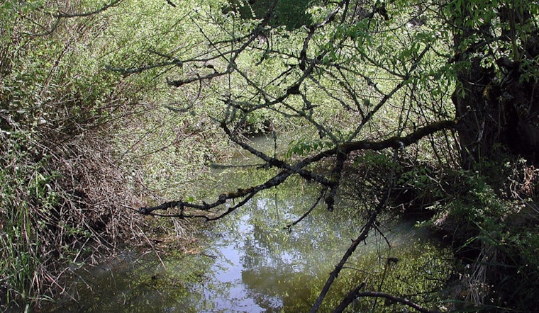 Portland Residents Advised to Avoid Bridlemile and Fanno Creeks After Sewage Spill