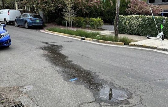 Portland Taps Satellite and Robotic Tech to Tackle Water Loss and Carbon Emissions