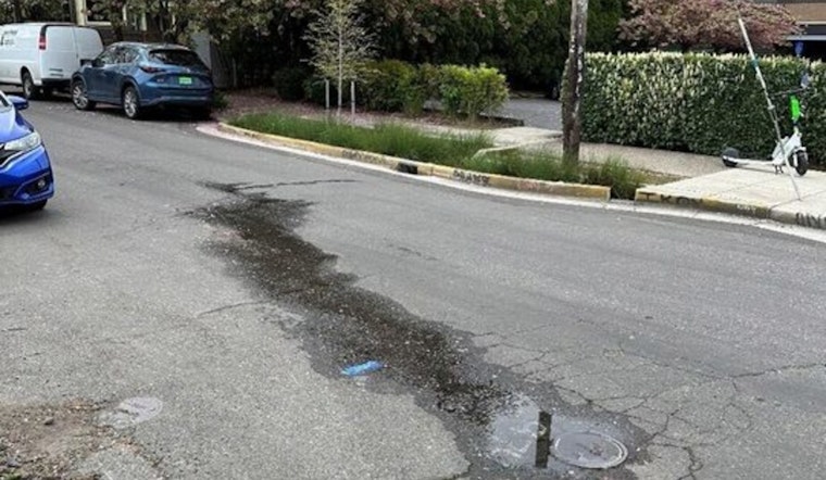 Portland Taps Satellite and Robotic Tech to Tackle Water Loss and Carbon Emissions