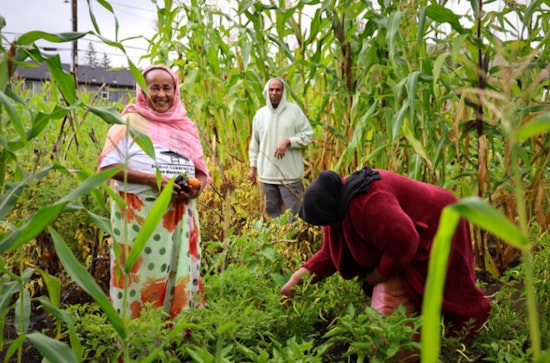 Portland to Invest $67 Million in Climate Justice Initiatives Through 2025 PCEF Community Grants