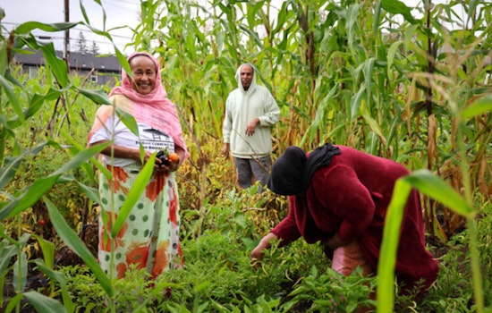 Portland to Invest $67 Million in Climate Justice Initiatives Through 2025 PCEF Community Grants