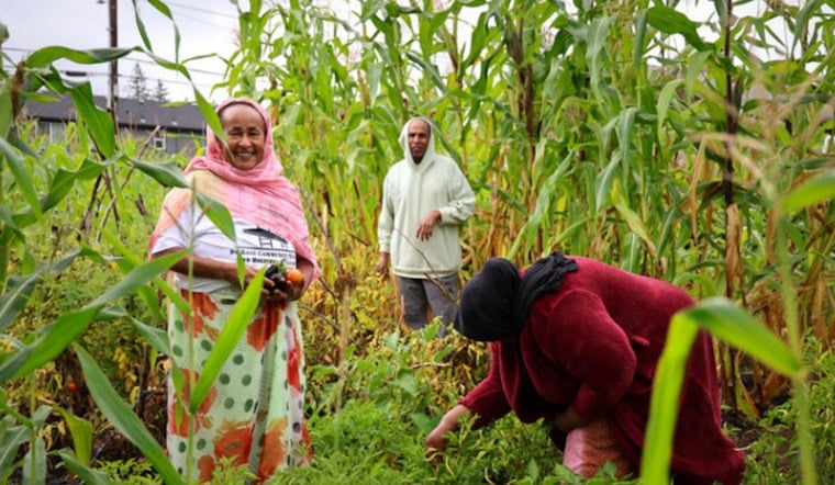 Portland to Invest $67 Million in Climate Justice Initiatives Through 2025 PCEF Community Grants