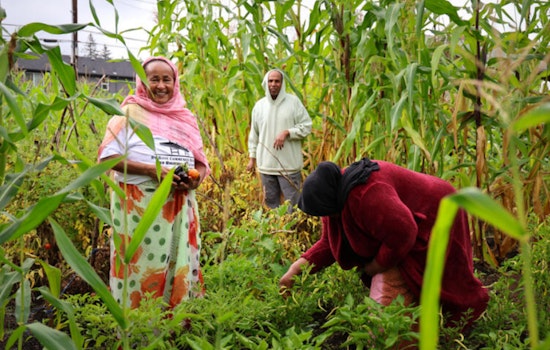Portland's PCEF Announces $67 Million in Grants for Local Climate Action and Social Equity Initiatives