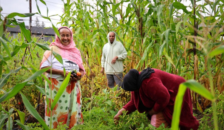 Portland's PCEF Announces $67 Million in Grants for Local Climate Action and Social Equity Initiatives