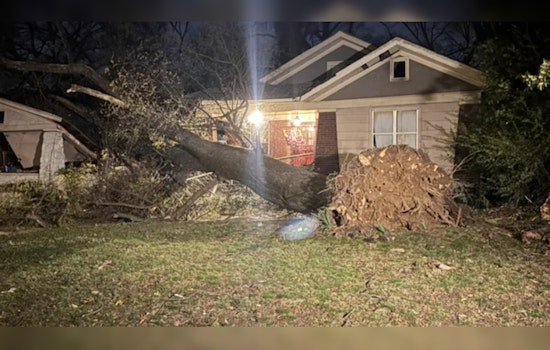 Powerful Winds Topple Trees, Damage Homes, and Injure Resident in Memphis Storm