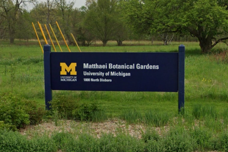 Protected Eastern Massasauga Rattlesnake Killed at University of Michigan's Matthaei Botanical Gardens