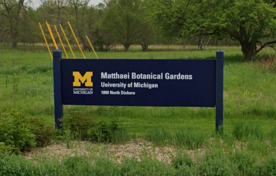 Protected Eastern Massasauga Rattlesnake Killed at University of Michigan's Matthaei Botanical Gardens