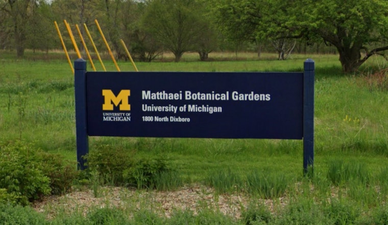 Protected Eastern Massasauga Rattlesnake Killed at University of Michigan's Matthaei Botanical Gardens