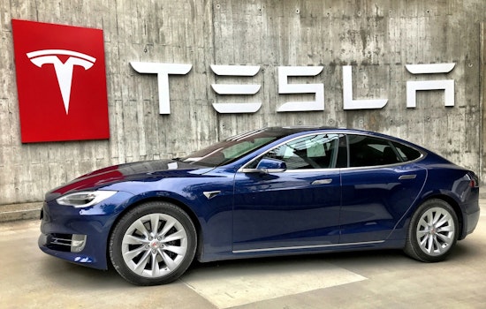 Protesters Rally at Houston Tesla Sites, Denounce Elon Musk's Government Influence Amid Nationwide 'Tesla Takedown' Movement