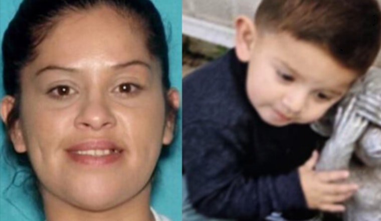 Public's Help Sought in Search for Missing Toddler and Mother in Los Angeles County