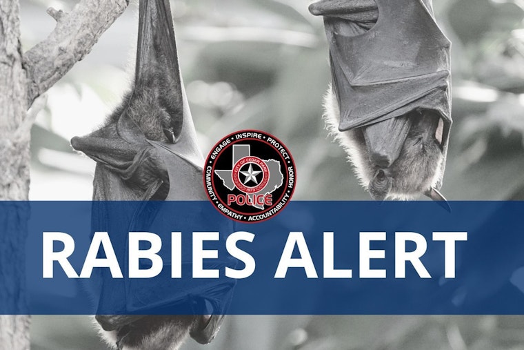 Rabies Alert in Cedar Park, Authorities Warn Public After Bat Tests Positive