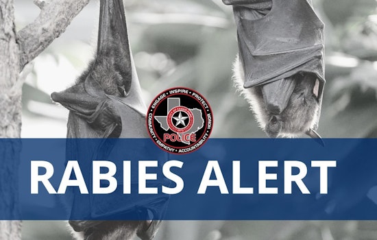Rabies Alert in Cedar Park, Authorities Warn Public After Bat Tests Positive