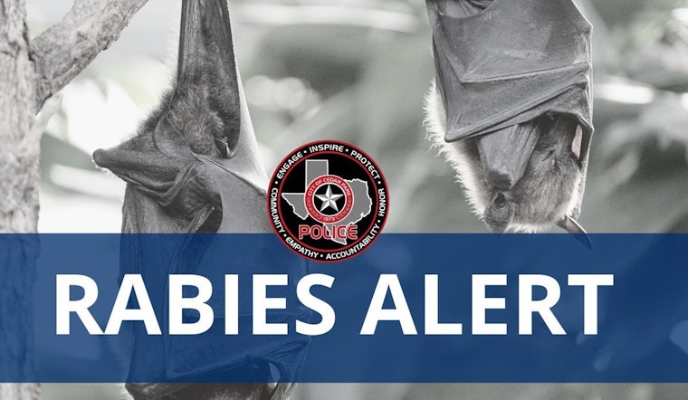 Rabies Alert in Cedar Park, Authorities Warn Public After Bat Tests Positive
