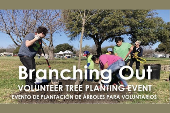 Rain Delays Dallas's JP Hawn Park Tree Planting Event, Volunteers Redirected to Upcoming Buckner Park Initiative