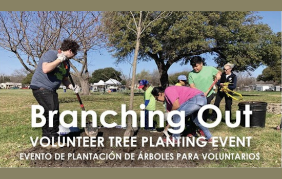 Rain Delays Dallas's JP Hawn Park Tree Planting Event, Volunteers Redirected to Upcoming Buckner Park Initiative