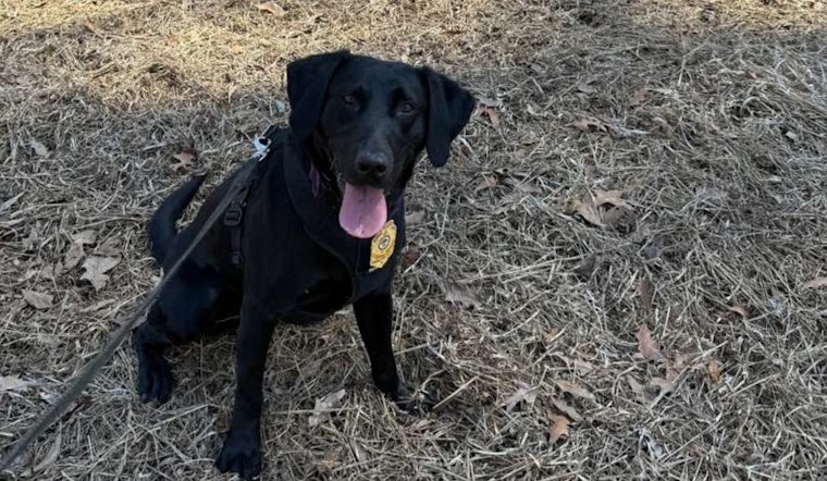Raleigh Senior Citizen Found Safe by Police and K9 Unit After Disappearing Into Woods Near Peach Road Park