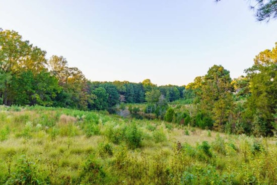Raleigh's Nature Quest Passport Program Invites Residents to Explore and Preserve Local Parks for Rewards