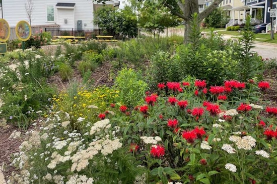 Raleigh’s Petals in the Park Event Invites Nature Lovers to Capture Spring's Bloom for a Chance to Win Greenhouse Tour