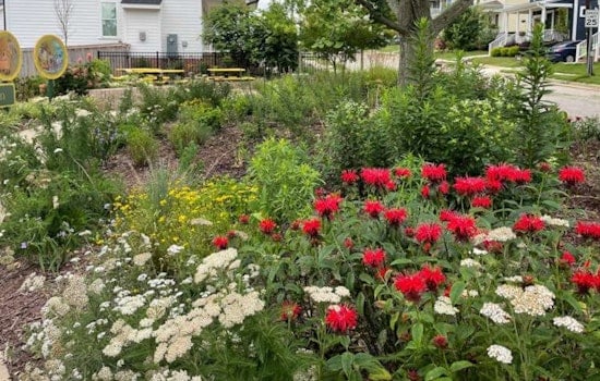 Raleigh’s Petals in the Park Event Invites Nature Lovers to Capture Spring's Bloom for a Chance to Win Greenhouse Tour