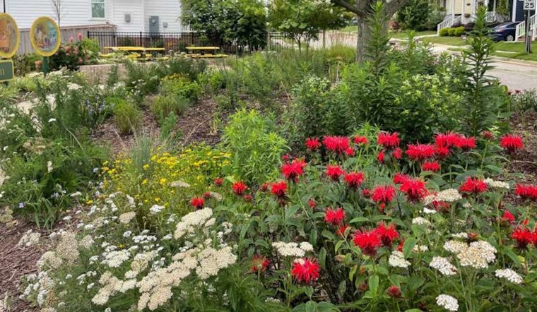 Raleigh’s Petals in the Park Event Invites Nature Lovers to Capture Spring's Bloom for a Chance to Win Greenhouse Tour
