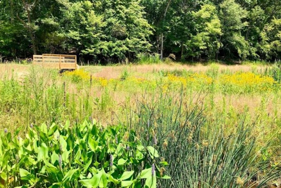 Raleigh's Wooten Meadow Park Unveils Educational Enhancements for Community-Led Wetland Monitoring