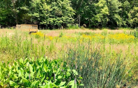 Raleigh's Wooten Meadow Park Unveils Educational Enhancements for Community-Led Wetland Monitoring