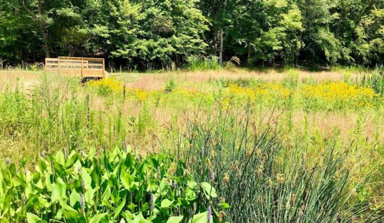 Raleigh's Wooten Meadow Park Unveils Educational Enhancements for Community-Led Wetland Monitoring