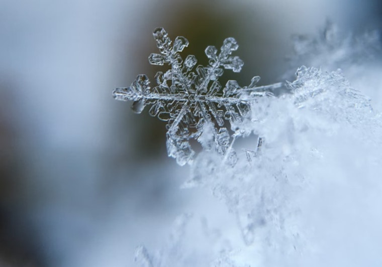 Ramsey County's Winter Warming Spaces to Close March 31 After Serving Nearly 10,000 Visits This Season