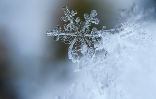 Ramsey County's Winter Warming Spaces to Close March 31 After Serving Nearly 10,000 Visits This Season