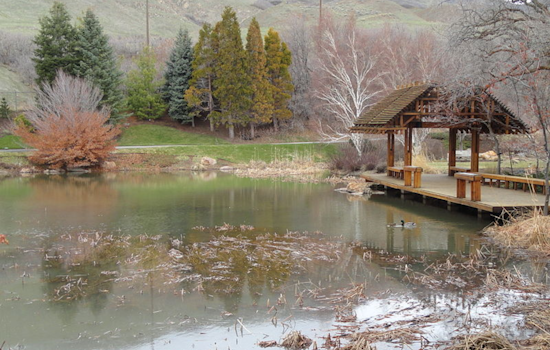 Red Butte Garden Flourishes with New Brand and Festivities for 40th Anniversary in Salt Lake City