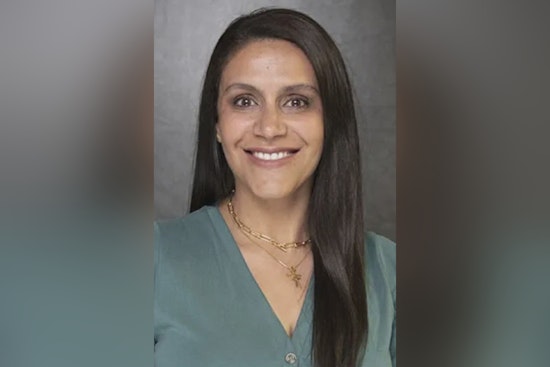 Rockwood School Board Director Izzy Imig Resigns Amid Theft Allegations at Chesterfield and Manchester Target Stores
