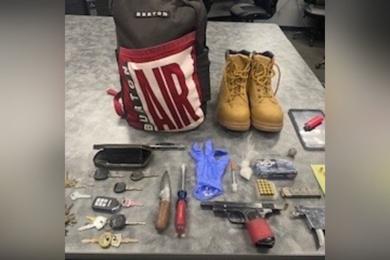 Roseville Detective's Astute Observation Leads to Arrest of Napping Car Theft Suspect from Citrus Heights