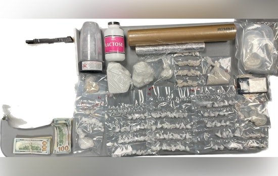Roxbury Duo Arrested on Drug Trafficking and Firearms Charges in Boston Police Crackdown