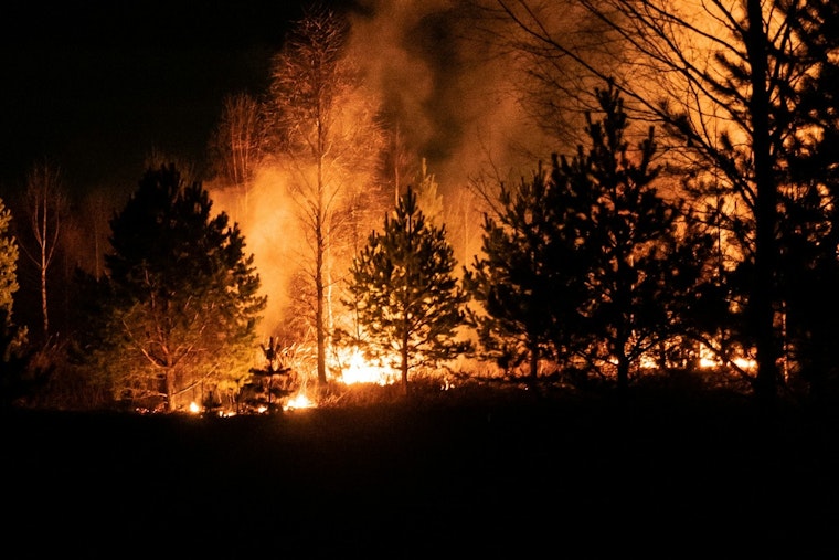 Rural Metro Fire and Allies Tame 7-Acre Wildfire in Knox County's Halls Community