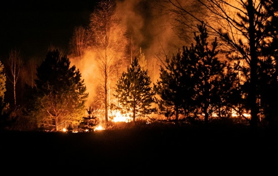 Rural Metro Fire and Allies Tame 7-Acre Wildfire in Knox County's Halls Community