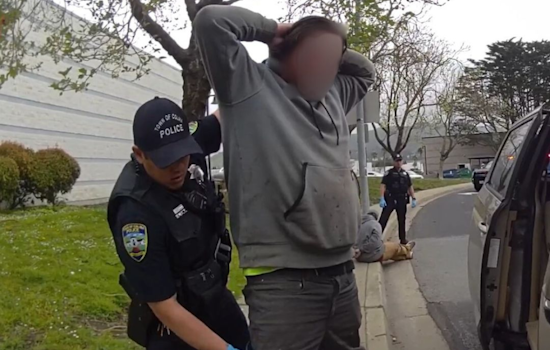 Sacramento Man Arrested for Theft and Evidence Destruction at Colma Home Depot