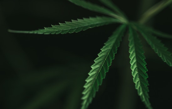Sacramento Secures $1.68 Million State Grant to Promote Equality in Cannabis Industry