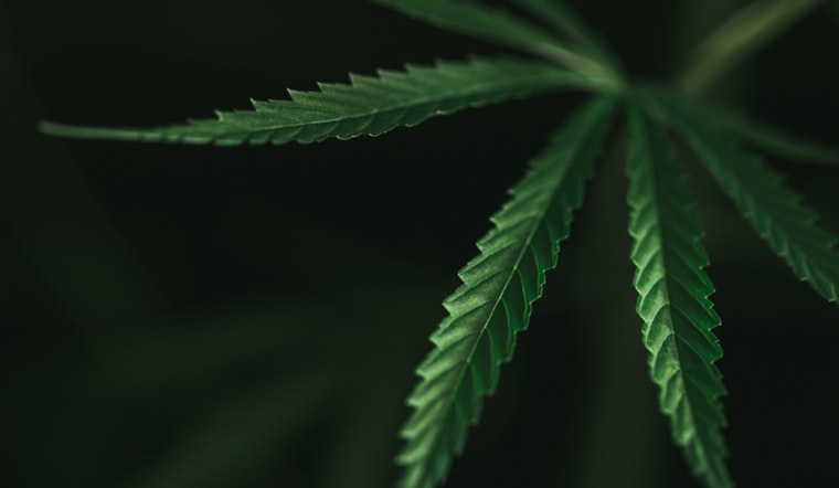 Sacramento Secures $1.68 Million State Grant to Promote Equality in Cannabis Industry