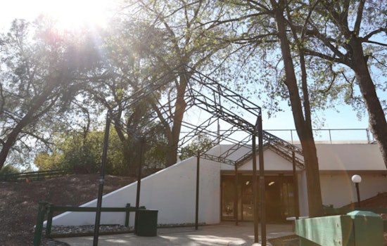 Sacramento’s Weekly Homelessness Response, Over 900 Calls Closed with Vital Aid and Shelter Offered