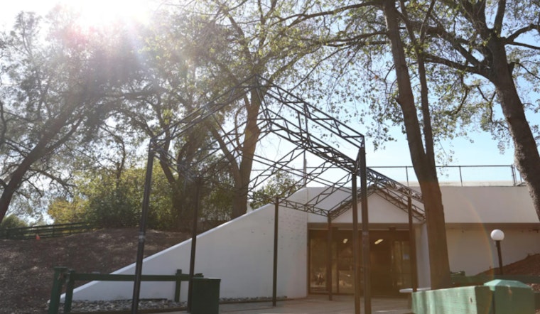 Sacramento’s Weekly Homelessness Response, Over 900 Calls Closed with Vital Aid and Shelter Offered