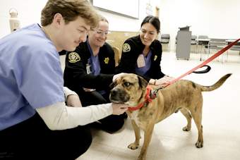 Salt Lake County Sheriff's Office Embraces 'Pawsitive' Energy with Therapy Animal Visit