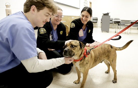Salt Lake County Sheriff's Office Embraces 'Pawsitive' Energy with Therapy Animal Visit