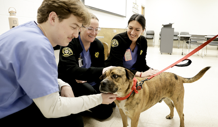 Salt Lake County Sheriff's Office Embraces 'Pawsitive' Energy with Therapy Animal Visit