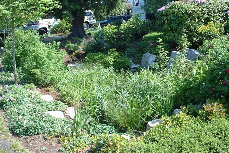 Sammamish Conducts Rigorous Private Stormwater System Inspections to Ensure Compliance and Environmental Protection